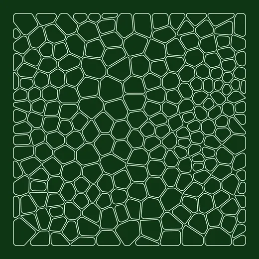 Made with GD Studio — Cellular Field