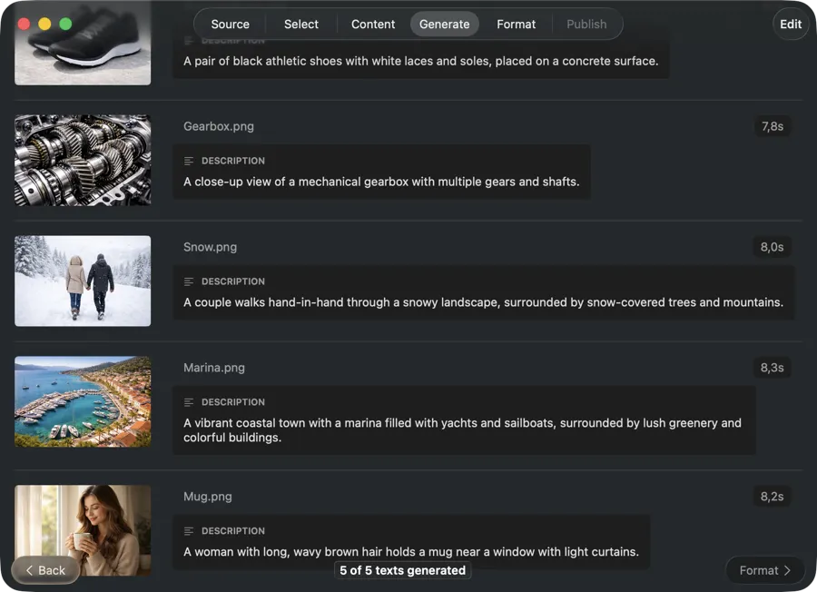 VisionTagger showing image thumbnails with generated alt text descriptions