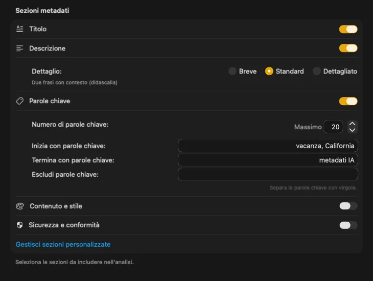 Configurazione dei contenuti di VisionTagger che mostra sezioni e campi di metadati personalizzabili
