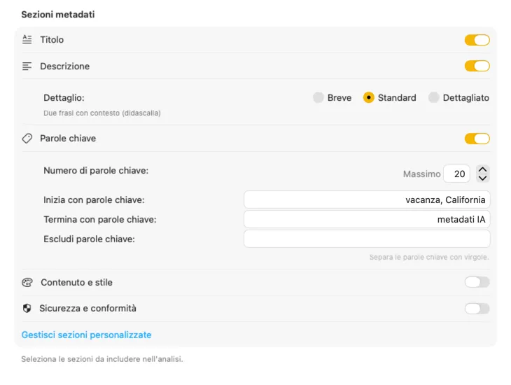 Configurazione dei contenuti di VisionTagger che mostra sezioni e campi di metadati personalizzabili