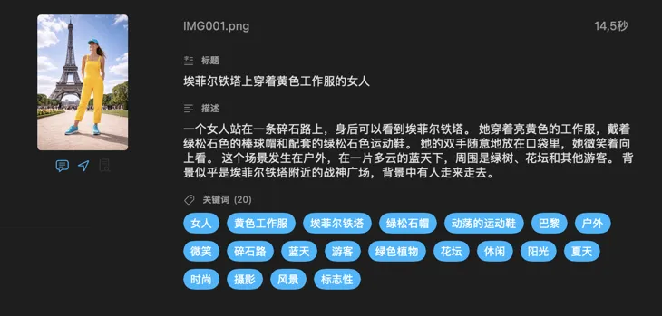 VisionTagger 使用本地 AI 为一张图片生成的元数据
