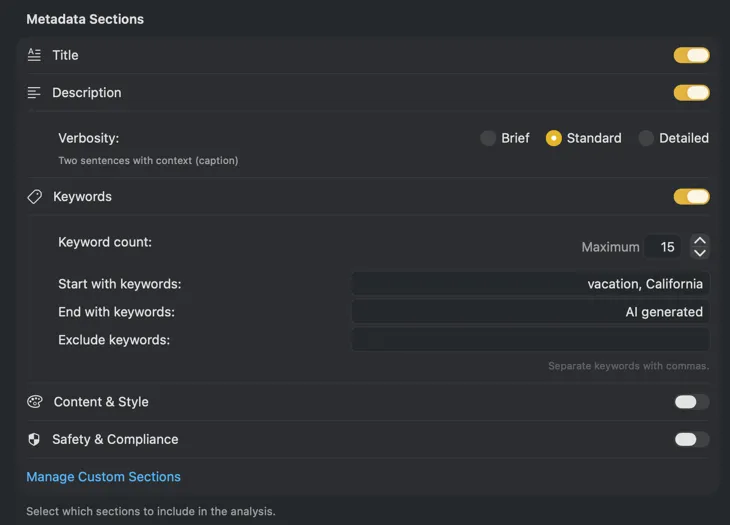 VisionTagger metadata schema configuration with custom metadata section